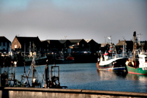 [picture: Harbour 2]