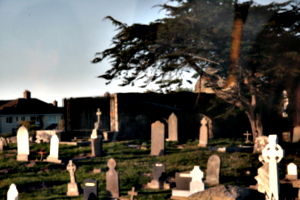 [picture: Graveyard 2]