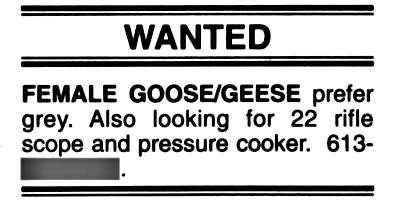 [picture: Goose wanted]